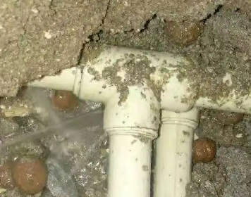 谢通门测漏水多少钱