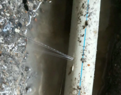 谢通门测漏水哪家好